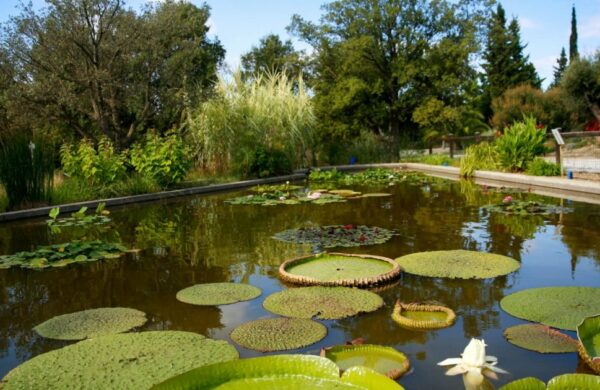 ARBORETUM DE CANET